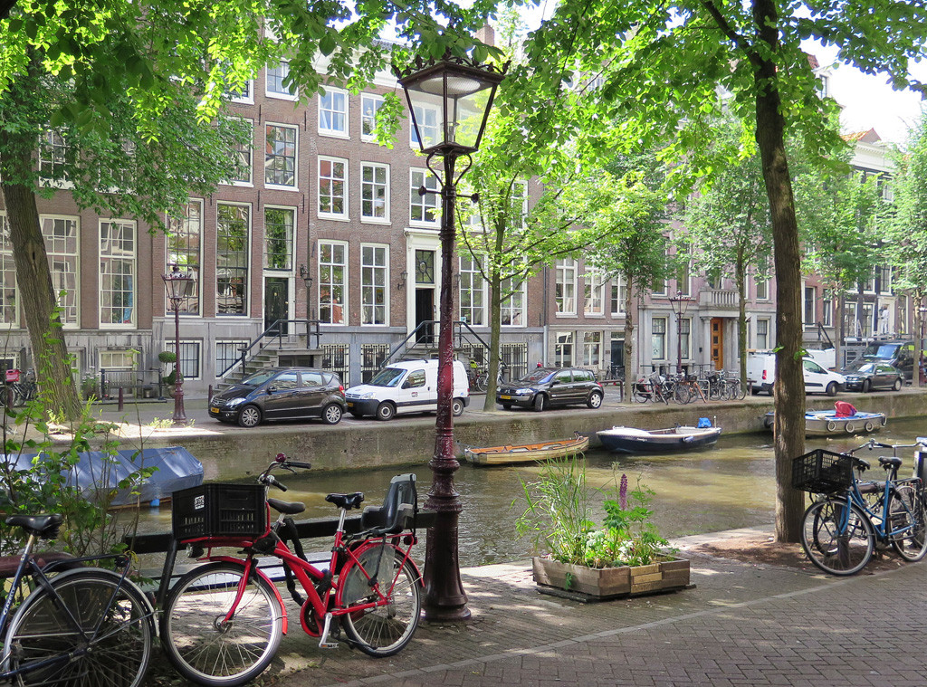 The Mystery Of The Missing The Fault In Our Stars Bench E News